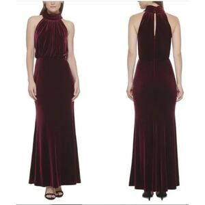 Eliza J Blouson Gown Womens 4 Wine Velvet Mock Neck Dress Glam Elegant Romantic